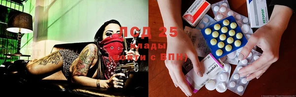 амф Остров