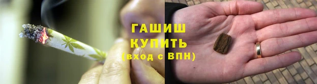 прущие грибы Курчалой