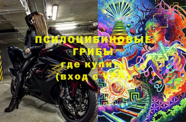 СК Куровское