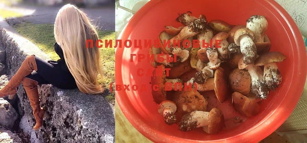 амф Остров