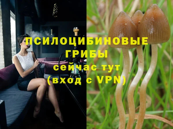 марихуана Осташков