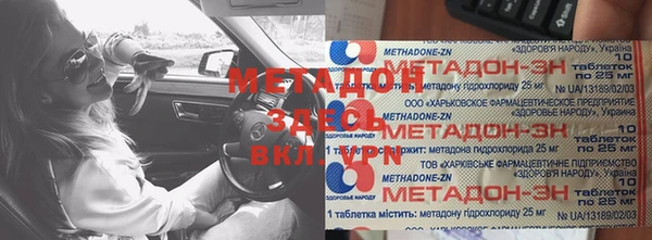 прущие грибы Курчалой
