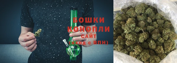 прущие грибы Курчалой