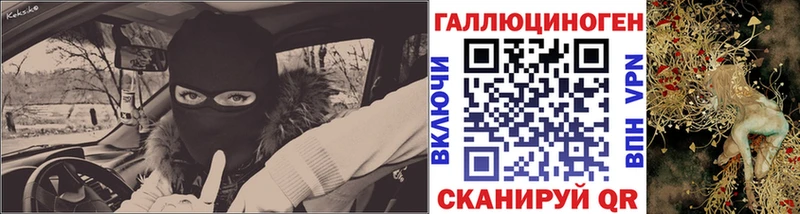 Галлюциногенные грибы Psilocybe Салаир
